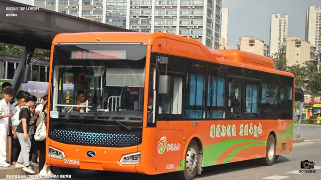800BUS