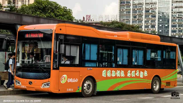 800BUS