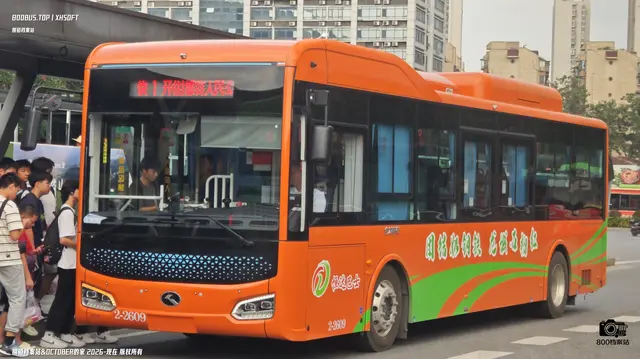 800BUS