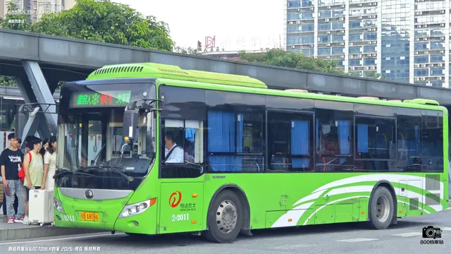 800BUS