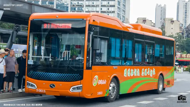 800BUS