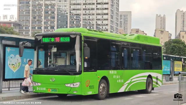 800BUS