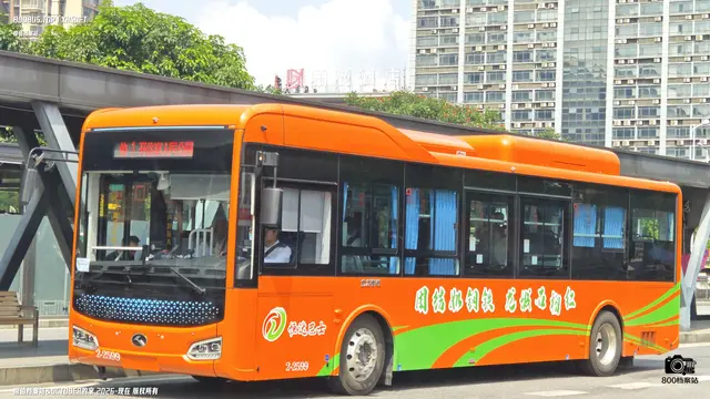 800BUS