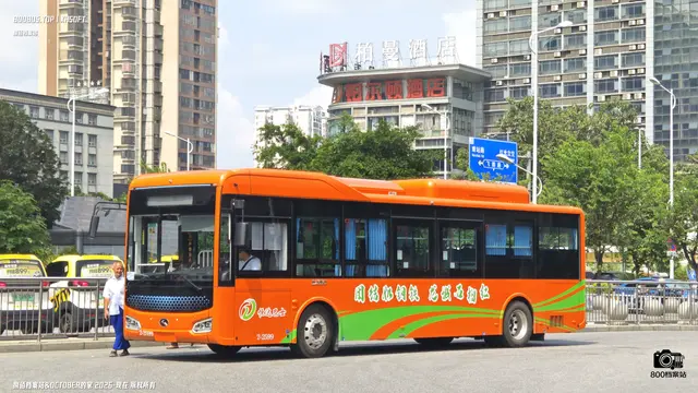 800BUS