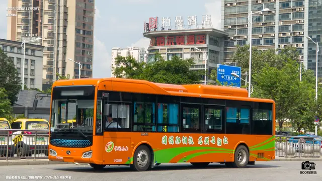 800BUS