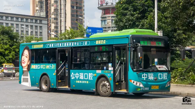 800BUS