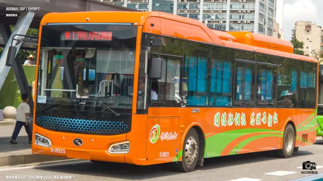 800BUS