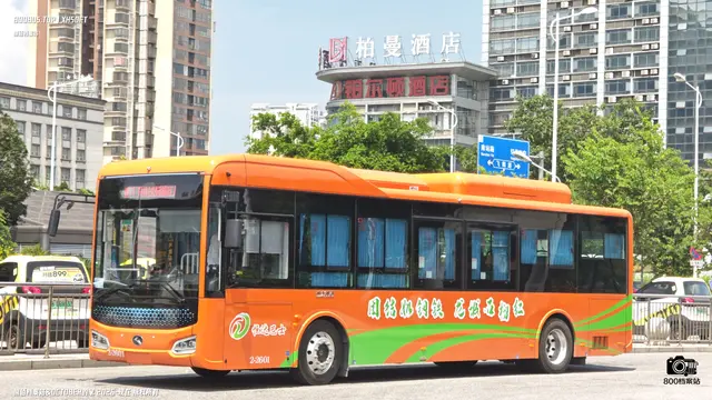 800BUS