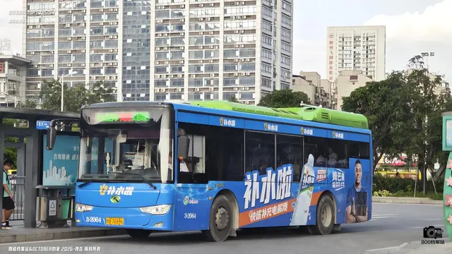 800BUS