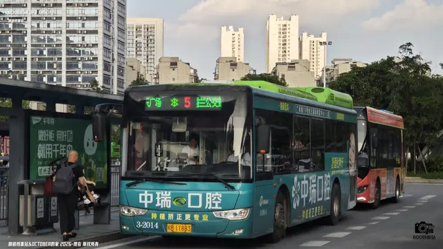 800BUS