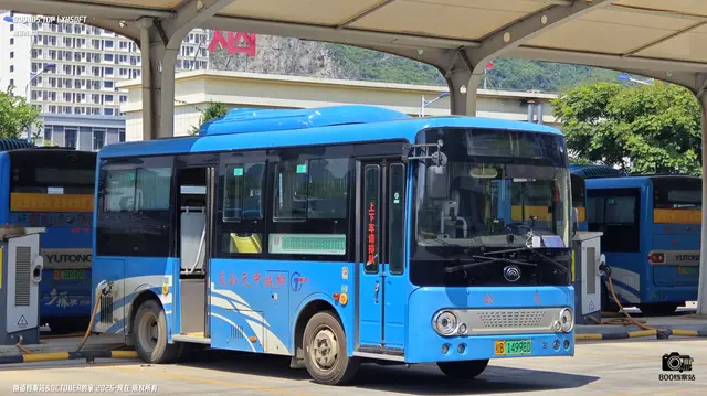桂B 14998D