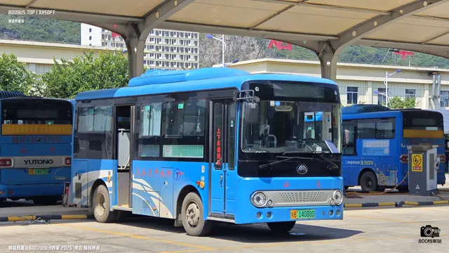 桂B 14088D