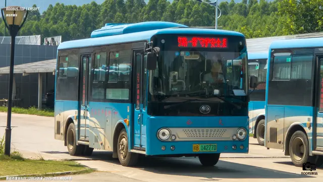 桂B 14277D
