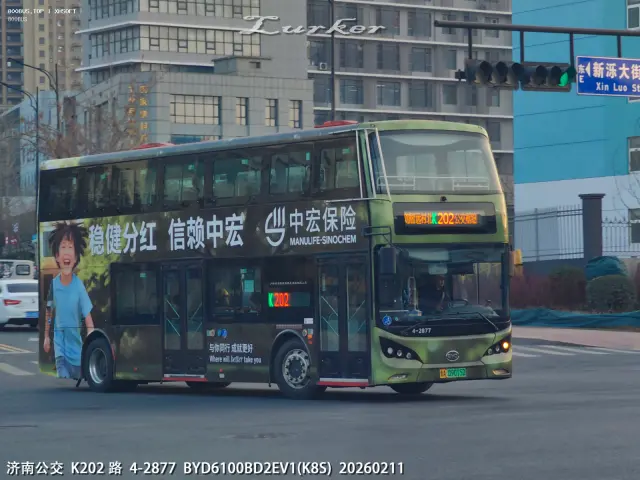 800BUS