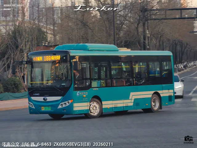 鲁A 01137D