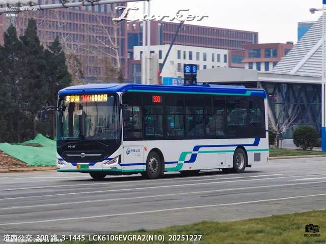 鲁A 00069D