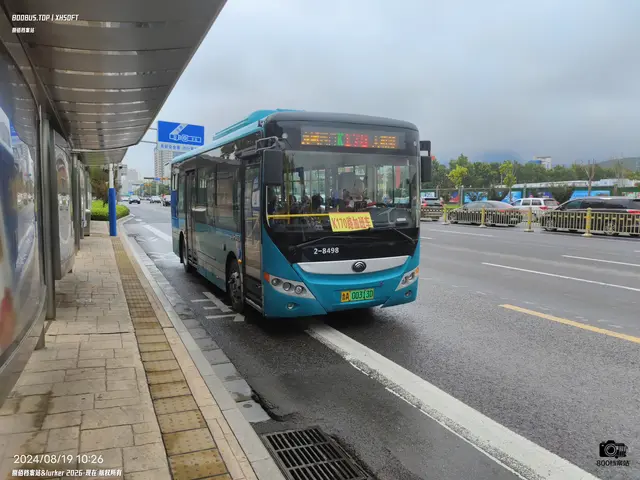 鲁A 00313D