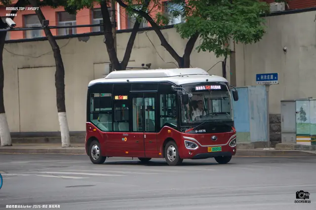 鲁A 06091D