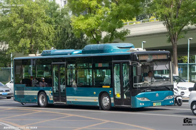 鲁A 00500F