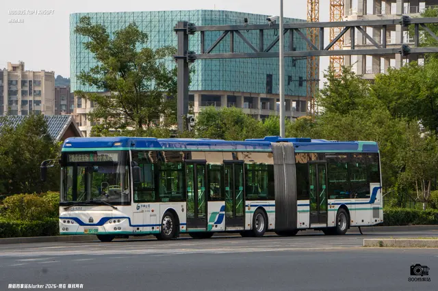 鲁A 07150D