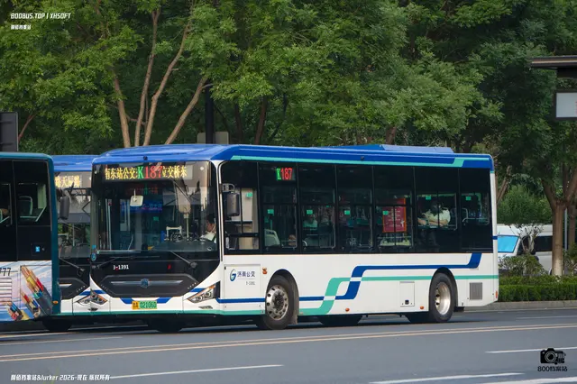 800BUS