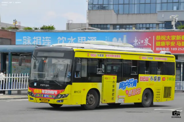 800BUS