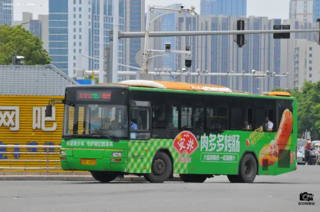 800BUS