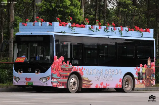 800BUS