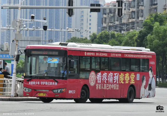 800BUS