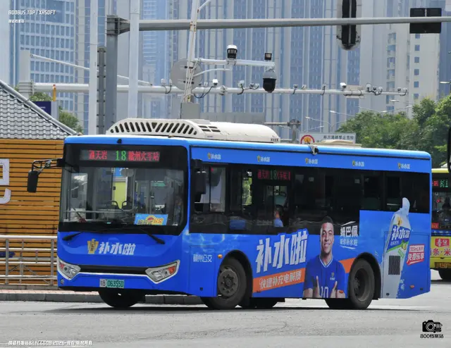 800BUS