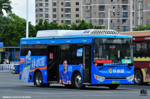 800BUS