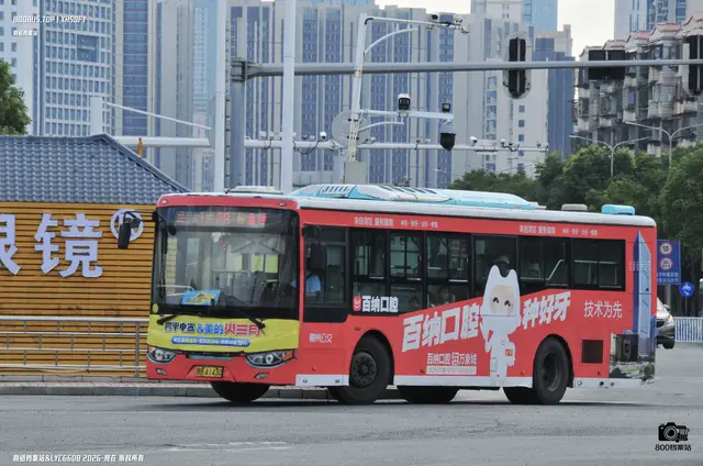 800BUS