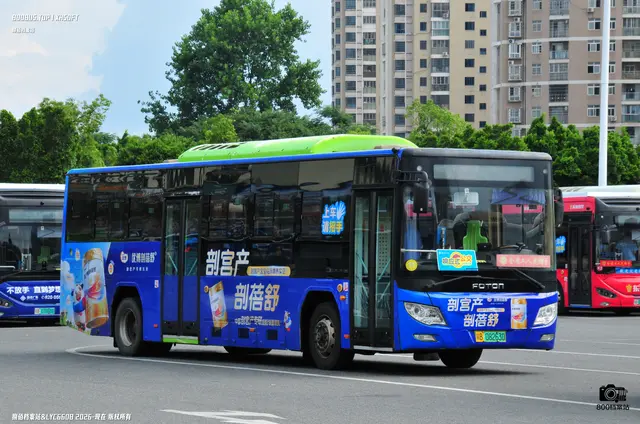 800BUS