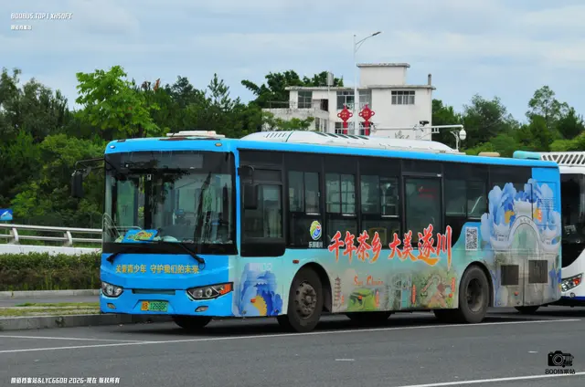 800BUS