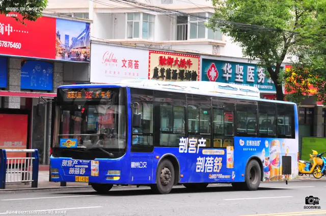 800BUS