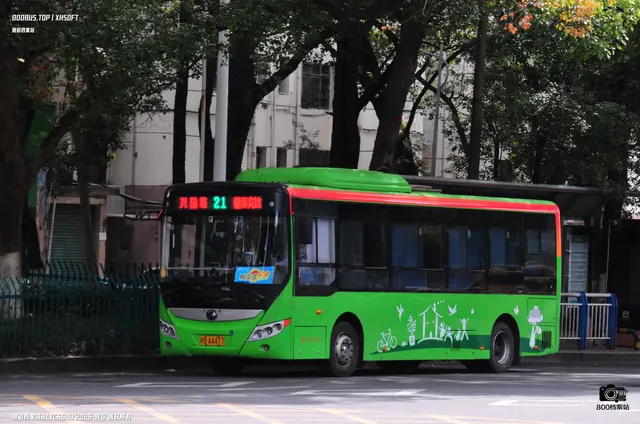 800BUS