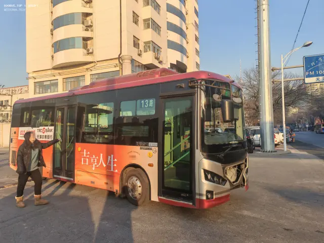 800BUS