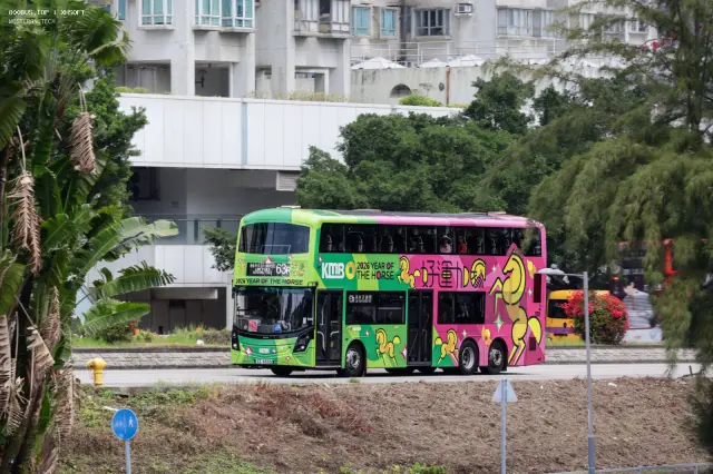 800BUS