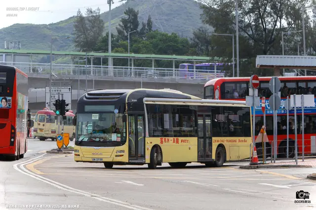 800BUS