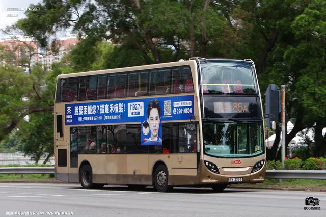 800BUS