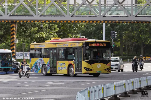 粤A 32003D