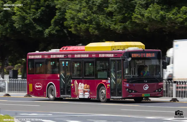 粤A 07276D