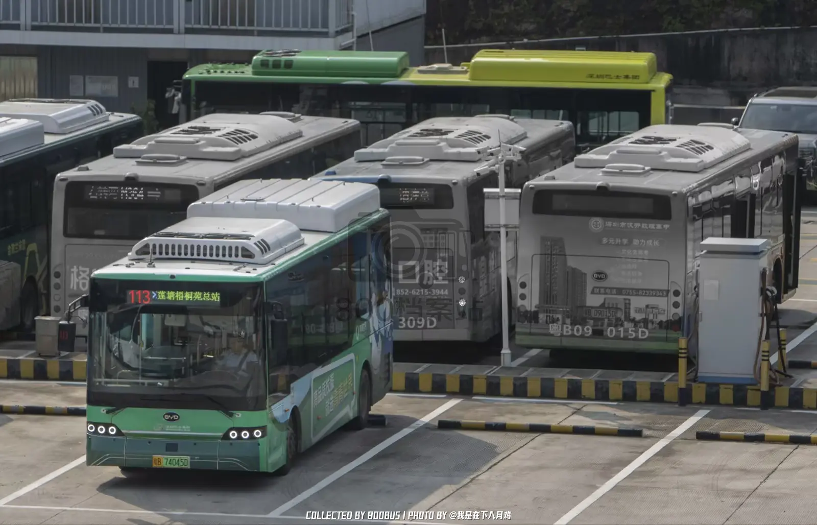 Bus Archive