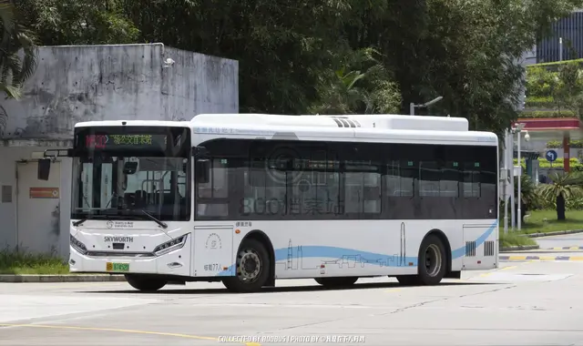 粤B 87452D