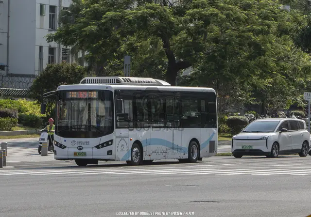粤B 42063D