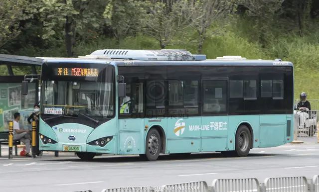 粤B 07365D