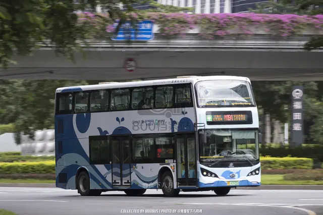 粤B 47935d