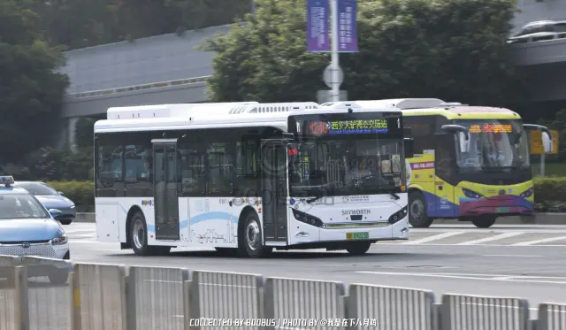 粤B 89223D