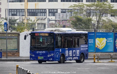 粤B 77759D
