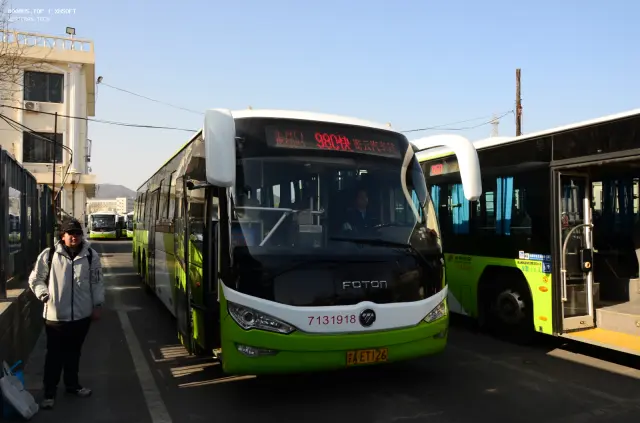 800BUS